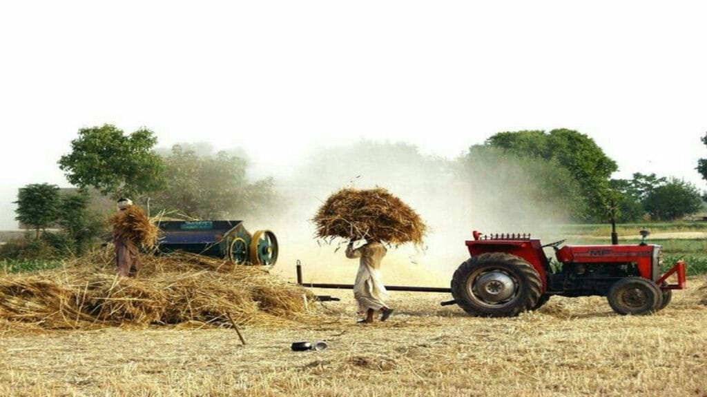 कुलधरा के लोगो का व्यवसाय कुलधरा के लोगो का व्यवसाय